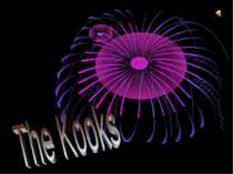"The Kooks"