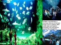 SYDNEY AQUARIUM SYDNEY AQUARIUM is a must-see, and one of the best things to ...