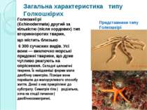 Загальна характеристика типу Голкошкірих Голкошкі рі (Echinodermata) другий з...