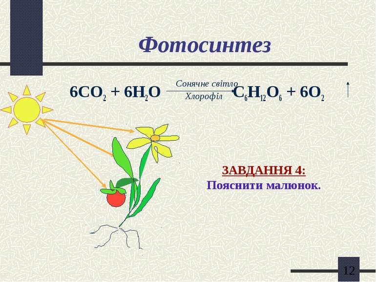 Фотосинтез 6СО2 + 6Н2О С6Н12О6 + 6О2 Сонячне світло Хлорофіл ЗАВДАННЯ 4: Пояс...