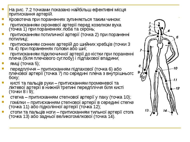 На рис. 7.2 точками показано найбільш ефективні місця притискання артерій. Кр...