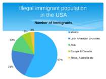 Illegal immigrant population in the USA