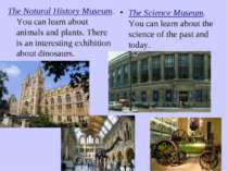 The Natural History Museum. You can learn about animals and plants. There is ...