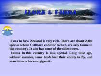 Flora in New Zealand is very rich. There are about 2,000 species where 1,500 ...