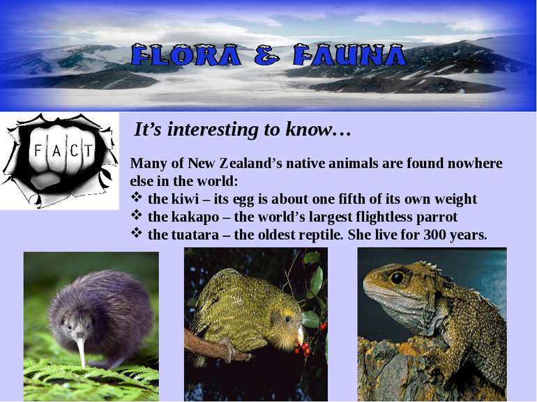 It’s interesting to know… Many of New Zealand’s native animals are found nowh...