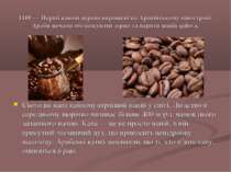 1100 — Перші кавові дерева вирощені на Аравійському півострові. Араби почали ...