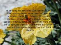 Its territory has revealed 926 species of natural flora, among them - more th...