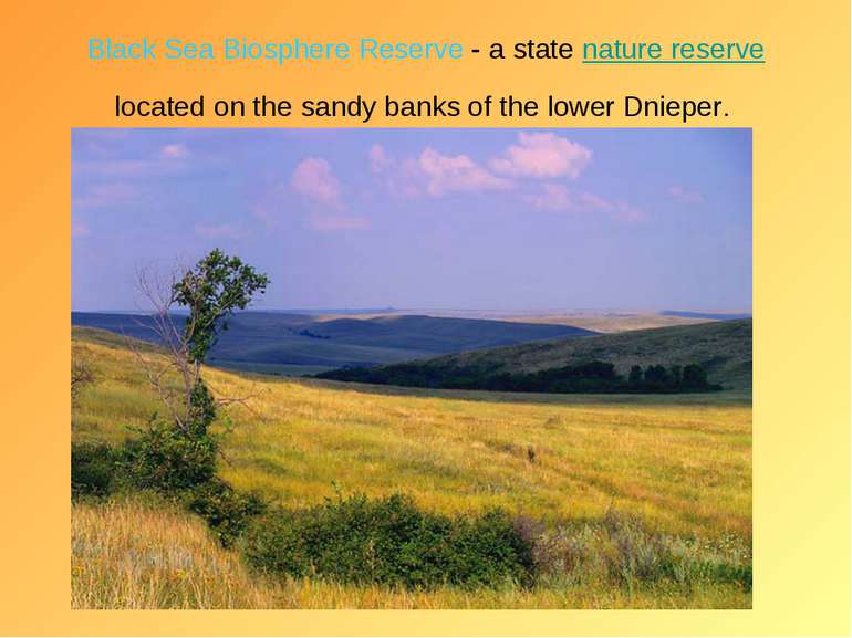 Black Sea Biosphere Reserve - a state nature reserve located on the sandy ban...