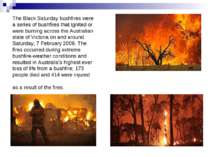 The Black Saturday bushfires were a series of bushfires that ignited or were ...