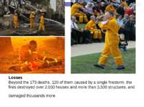 Losses Beyond the 173 deaths, 120 of them caused by a single firestorm, the f...