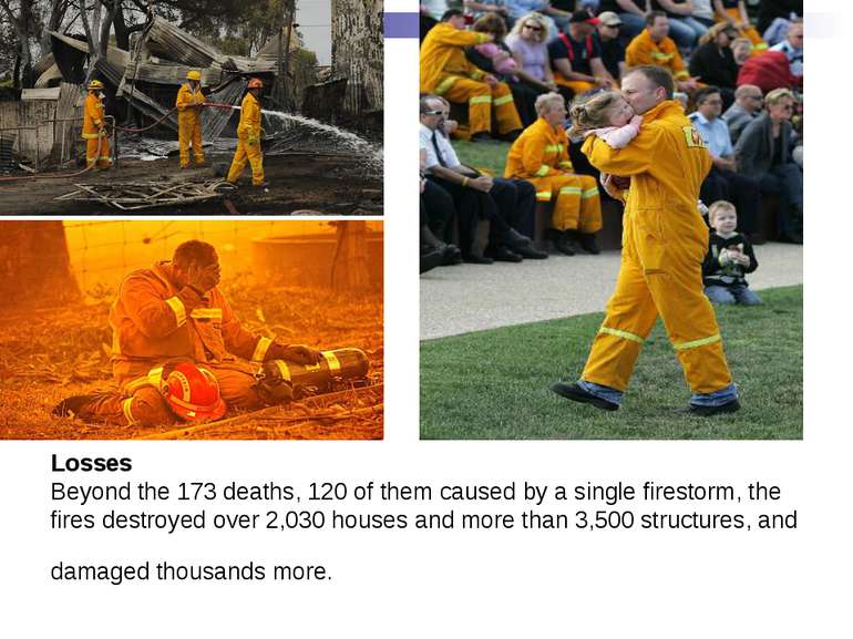 Losses Beyond the 173 deaths, 120 of them caused by a single firestorm, the f...