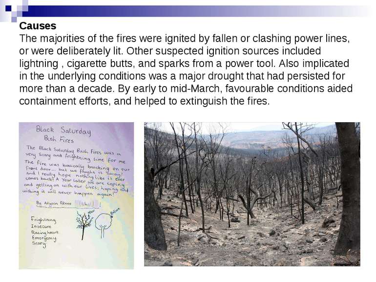 Causes The majorities of the fires were ignited by fallen or clashing power l...