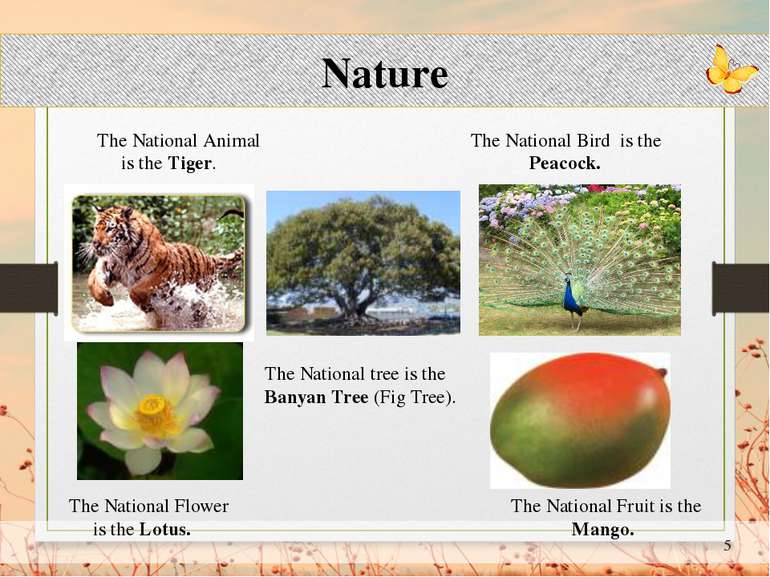 Nature The National Animal The National Bird is the is the Tiger. Peacock. Th...
