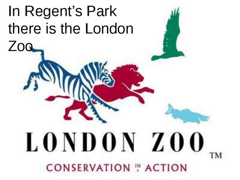 In Regent’s Park there is the London Zoo