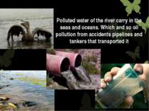 Polluted water of the river carry in the seas and oceans. Which and so oil po...