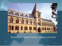 Museum of Natural History, Oxford university