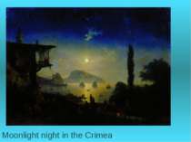Moonlight night in the Crimea.