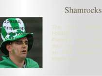 Shamrocks The Irish national holiday – St. Patrick’s Day. This man has a hat ...