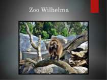              Zoo Wilhelma