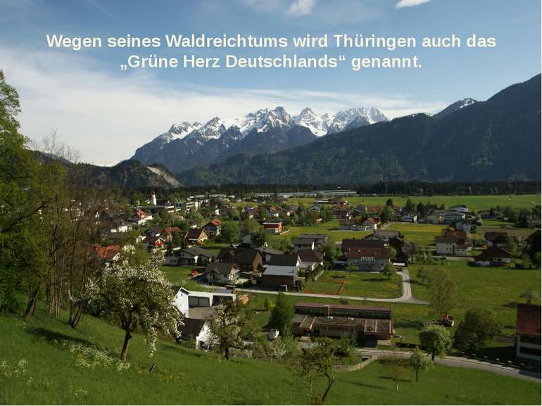 Wegen seines Waldreichtums wird Thüringen auch das „Grüne Herz Deutschlands“ ...