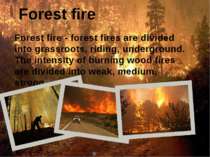 Forest fire Forest fire - forest fires are divided into grassroots, riding, u...