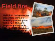 Field fire Field fire - having an open area where there is a faded dry grass ...