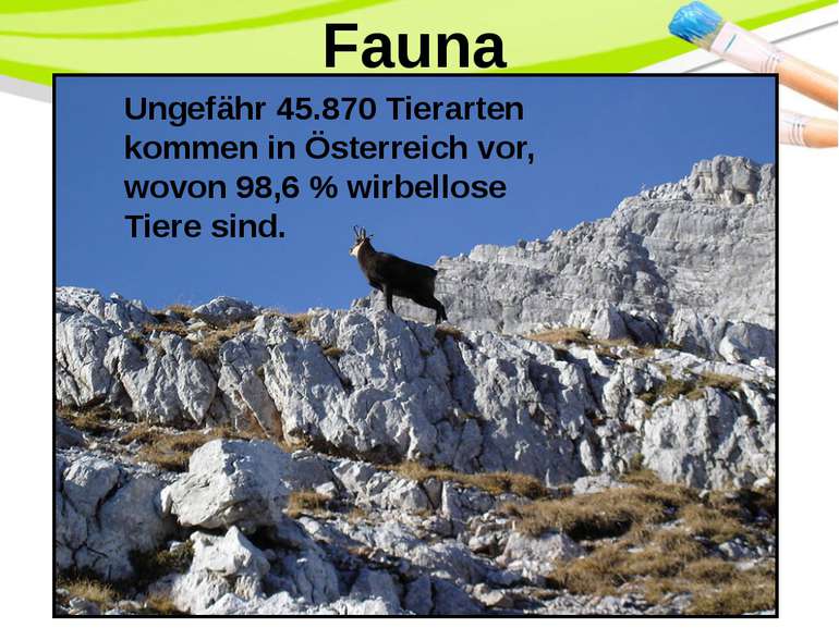 Fauna Ungefähr 45.870 Tierarten kommen in Österreich vor, wovon 98,6 % wirbel...