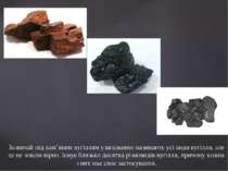 Зазвичай під кам’яним вугіллям узагальнено називають усі види вугілля, але це...