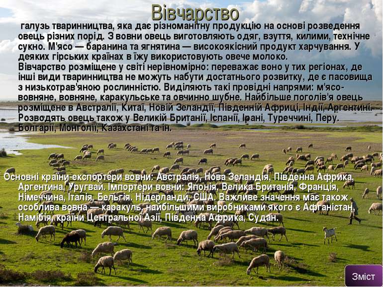 Вівчарство галузь тваринництва, яка дає різноманітну продукцію на основі розв...