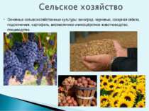 Основные сельскохозяйственные культуры: виноград, зерновые, сахарная свёкла, ...