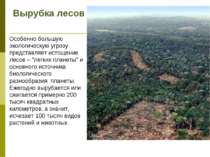 Вырубка лесов Особенно большую экологическую угрозу представляет истощение ле...