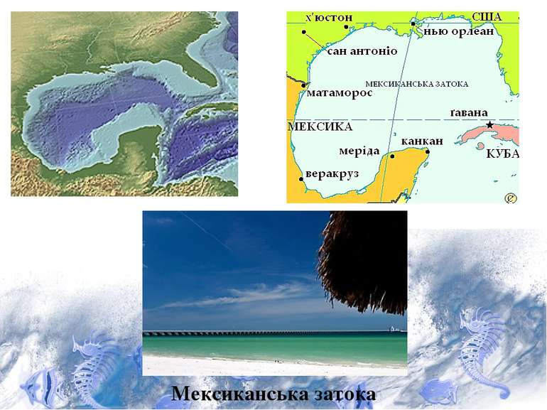 Мексиканська затока