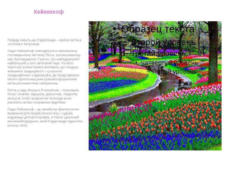 Кейкенхоф Правду кажуть,що Нідерланди – країна квітів,а особливо тюльпанів. С...