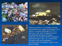 Промышленные и бытовые отходы загрязняют все среды биосферы. На 1 жителя горо...