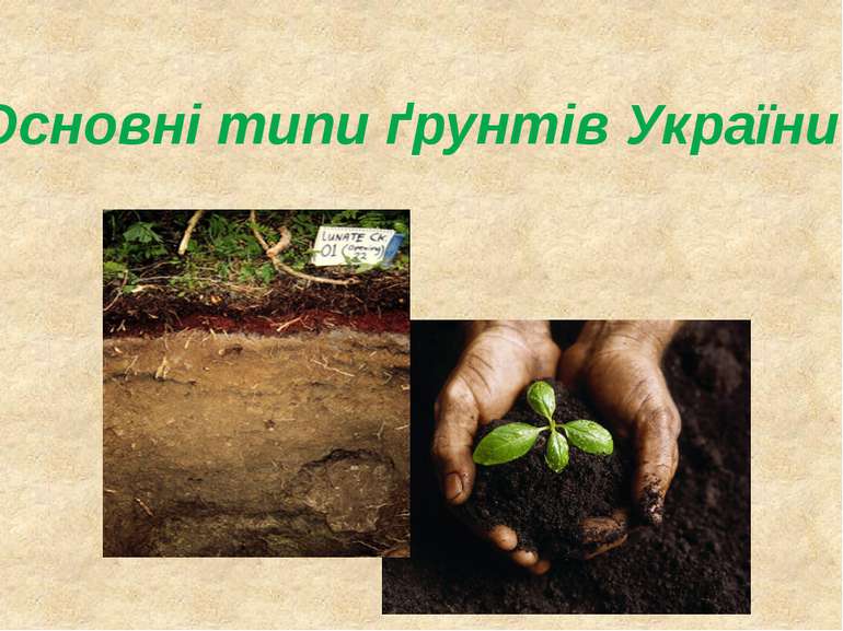 Основні типи ґрунтів України