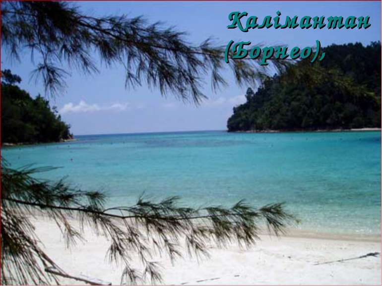 Калімантан (Борнео),