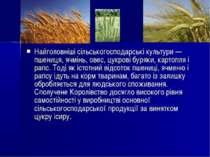 Найголовніші сільськогосподарські культури — пшениця, ячмінь, овес, цукрові б...