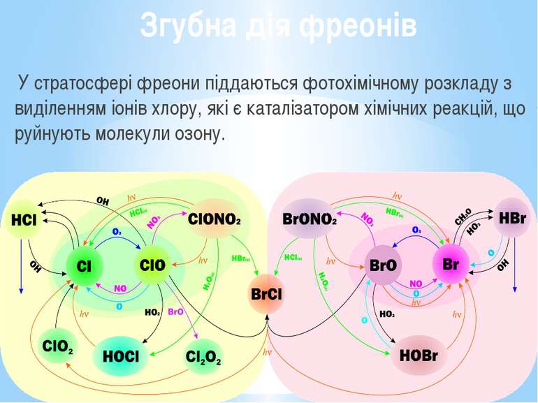 Згубна дія фреонів У стратосфері фреони піддаються фотохімічному розкладу з в...