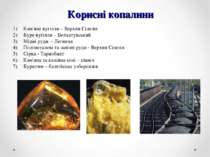 Корисні копалини Кам'яне вугілля – Верхня Сілезія Буре вугілля – Белхатувськи...