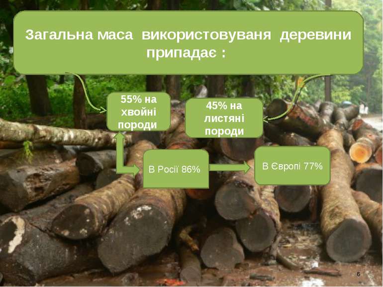 Загальна маса використовуваня деревини припадає : 55% на хвойні породи 45% на...