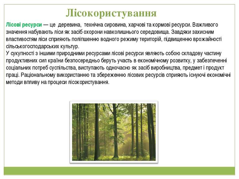 Лісові ресурси — це деревина, технічна сировина, харчові та кормові ресурси. ...