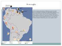 Демографія На етнічному рівні населення Південної Америки можна розділити на ...