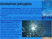 Біологічні ресурси Біологічні ресурси океанів - риби, кити, молюски (кальмари...