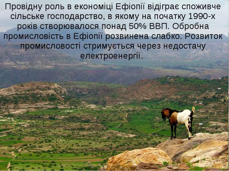 Провідну роль в економіці Ефіопії відіграє споживче сільське господарство, в ...