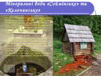 Мінеральні води «Соймінське» та «Келечинське» Головним багатством краю є числ...