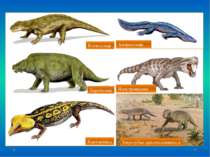 Котилозавр Парейазавр Капторинид Антракозавр Иностранцевия Зверозубые пресмык...