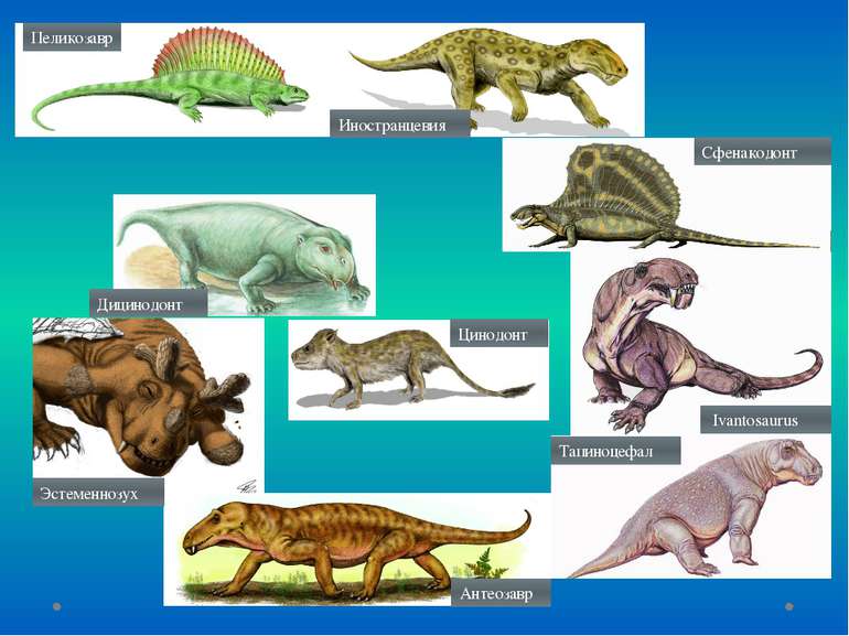 Пеликозавр Иностранцевия Сфенакодонт  Ivantosaurus Тапиноцефал Антеозавр Эсте...