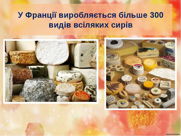 У Франції виробляється більше 300 видів всіляких сирів