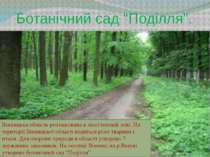 Ботанічний сад “Поділля”. Вінницька область розташована в лісостеповій зоні. ...