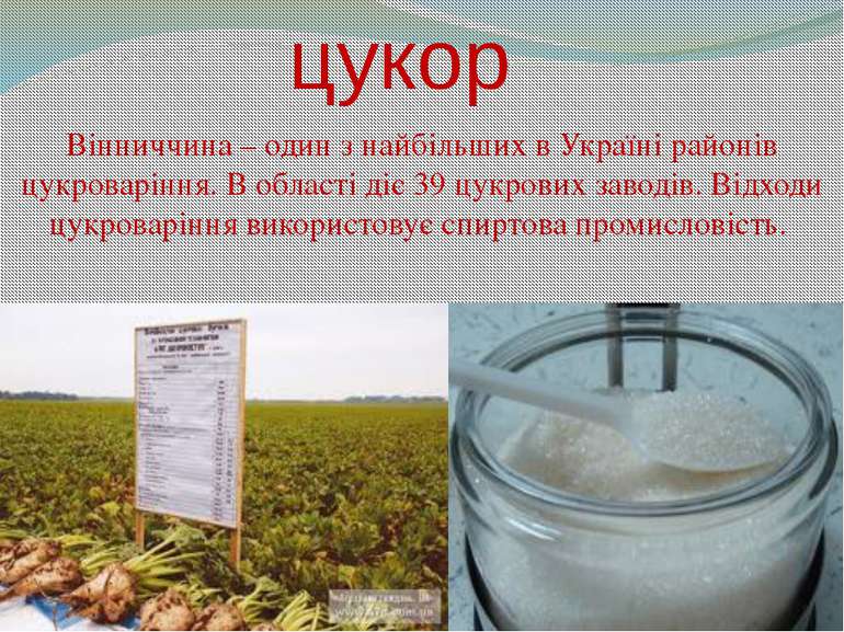 цукор Вінниччина – один з найбільших в Україні районів цукроваріння. В област...
